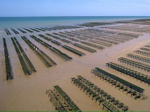 Maison Renovee En Pierres Sejour Spacieux Avec Jardin Et Terrasse Amenagee Pres Omaha Beach & Bayeux A 5Mn De La Mer Tous Commerces Commes Екстер'єр фото