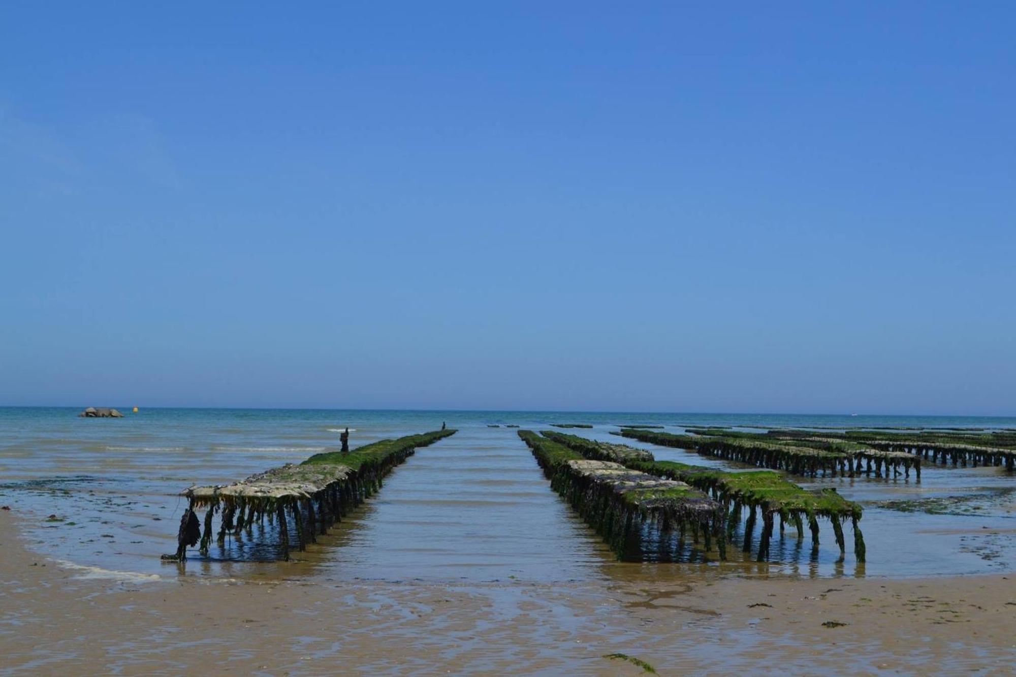 Maison Renovee En Pierres Sejour Spacieux Avec Jardin Et Terrasse Amenagee Pres Omaha Beach & Bayeux A 5Mn De La Mer Tous Commerces Commes Екстер'єр фото